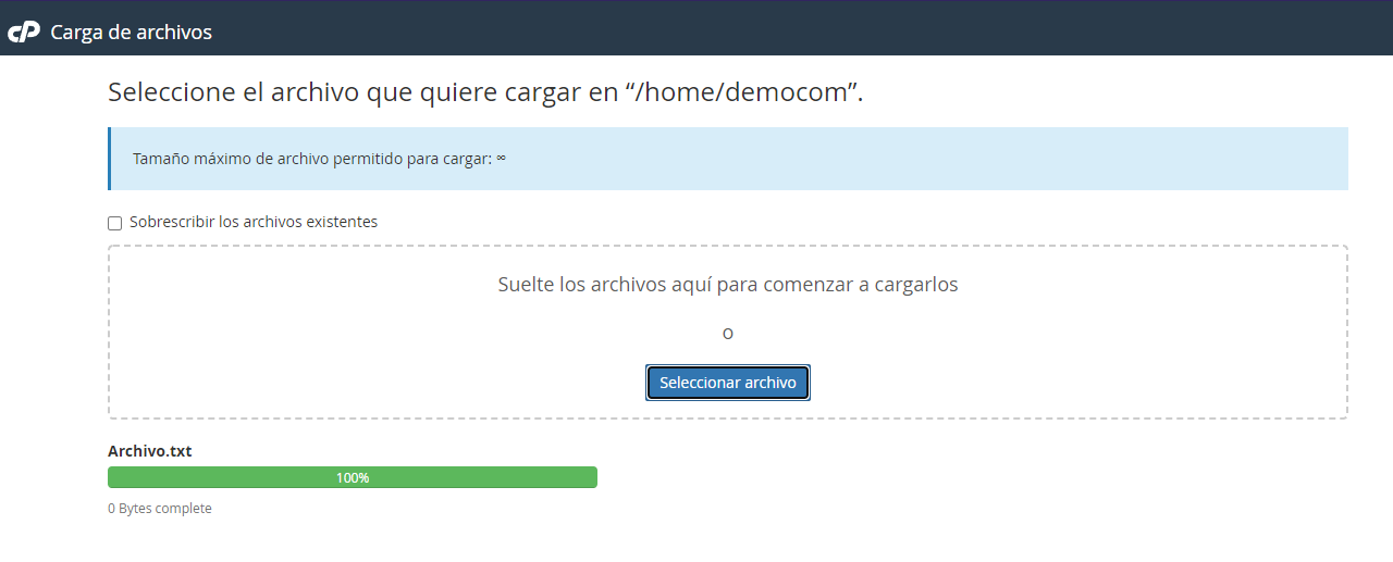 Carga de archivos_Seleccione el archivo